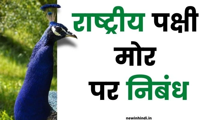 essay on national bird peacock in hindi